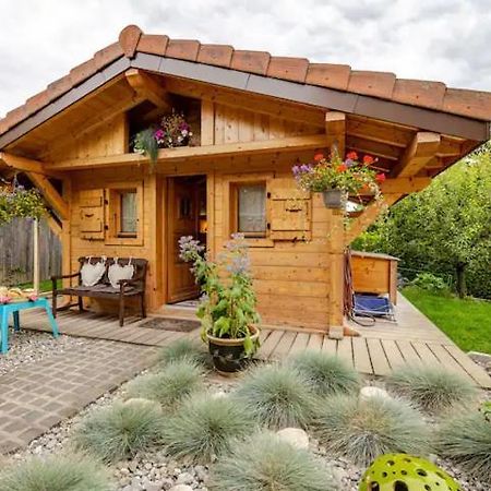 Le Chalet Des 3 Ours Neuvecelle Экстерьер фото