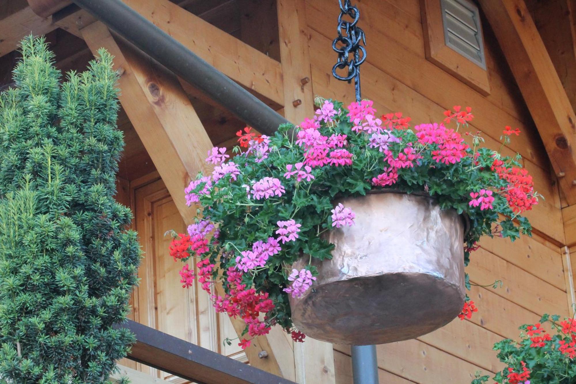 Le Chalet Des 3 Ours Neuvecelle Экстерьер фото
